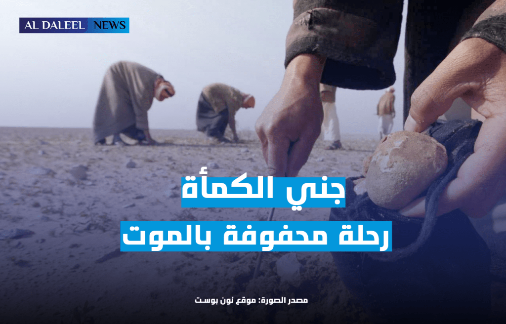 موسم الكمأة في سوريا.. رحلة بحث محفوفة&nbsp;بالموت